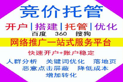 SEO与SEM融合策略：成功案例解析
