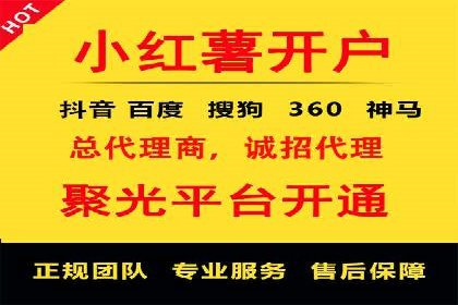 谷歌竞价广告在电商行业的运用案例